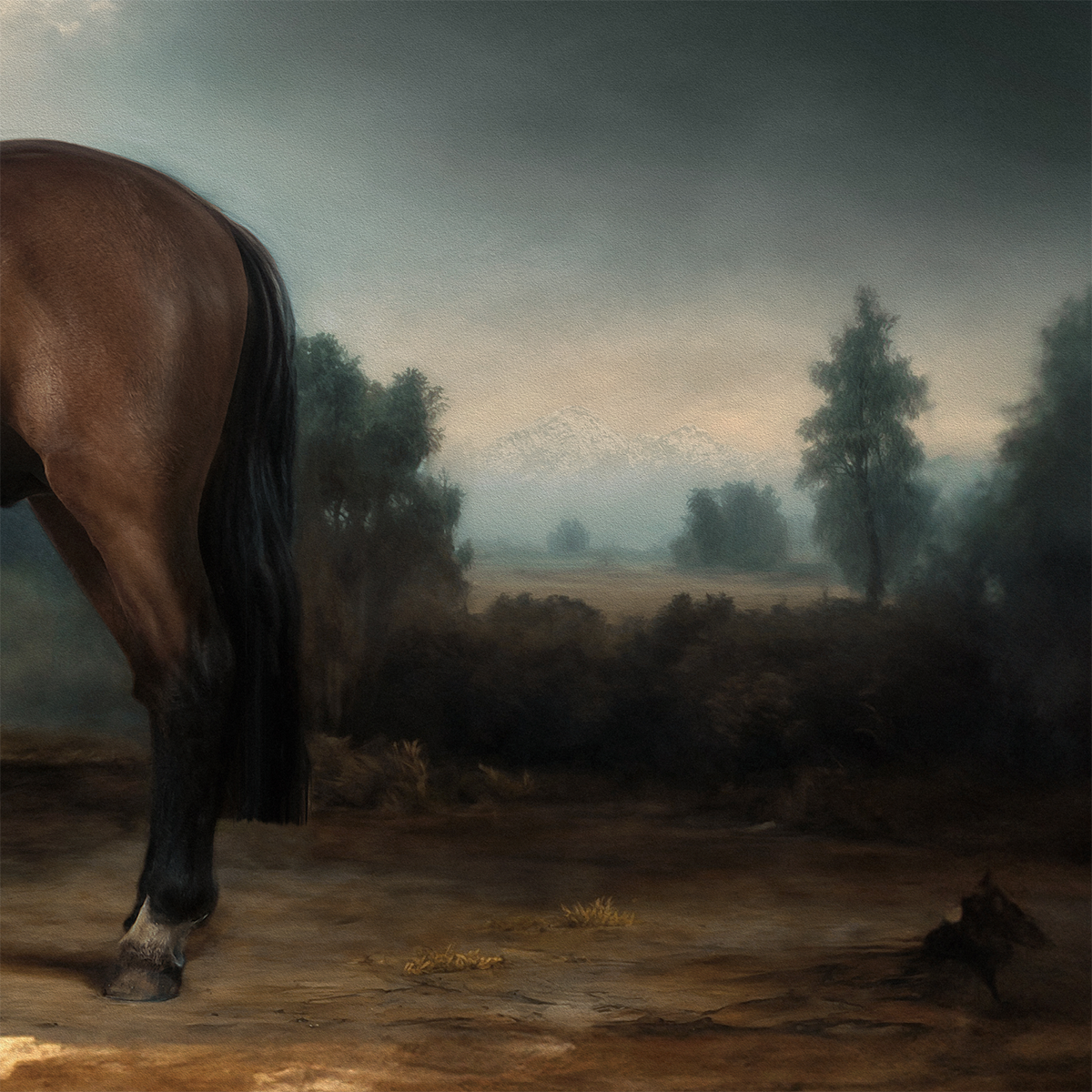 Demetrio Caballo Chileno